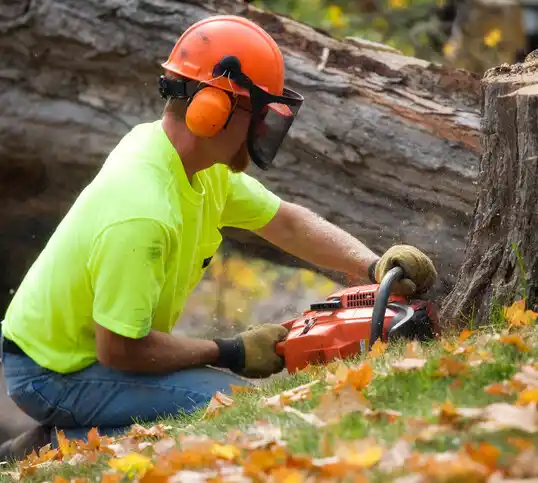 tree services Smith Mills